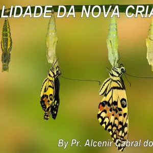 A Realidade da Nova Criação!