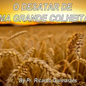 O Desatar de Uma Grande Colheita!