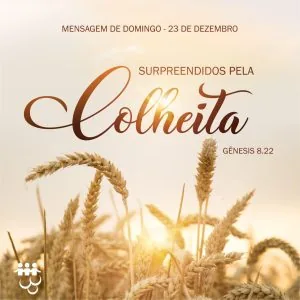 Surpreendidos Pela Colheita!