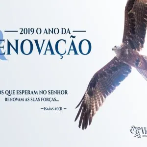 O Ano da Renovação!