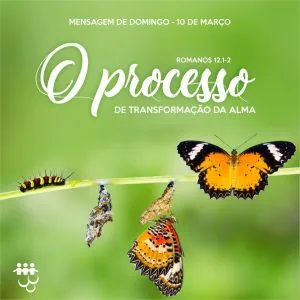O Processo de Transformação da Alma!