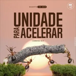 Unidade para Acelerar!