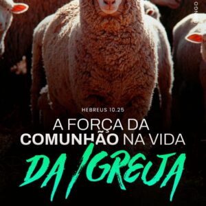 A Força da Comunhão na Vida da Igreja!