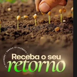 Receba o seu retorno ao Dar!