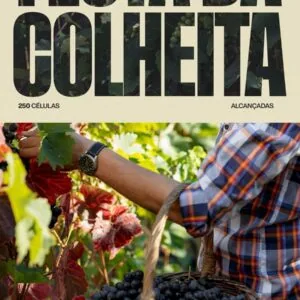 A Colheita que Deus Celebra!