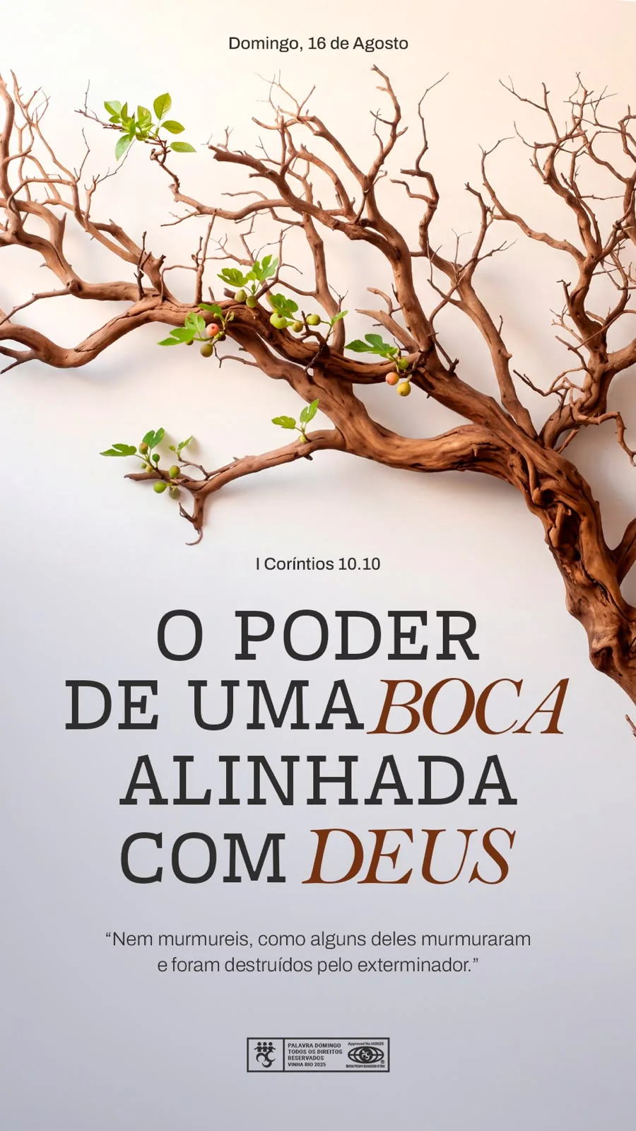 O Poder de uma Boca Alinhada com Deus! 1 O Poder de uma Boca Alinhada com Deus!